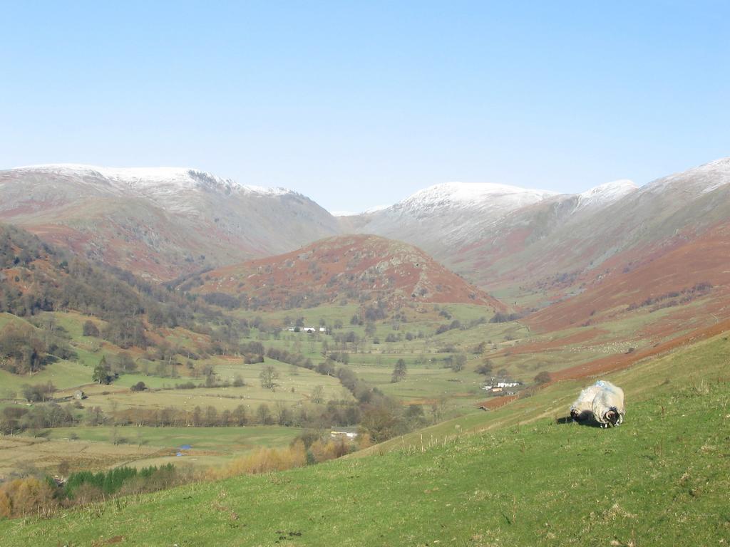 High Fold Guest House Troutbeck  Eksteriør billede