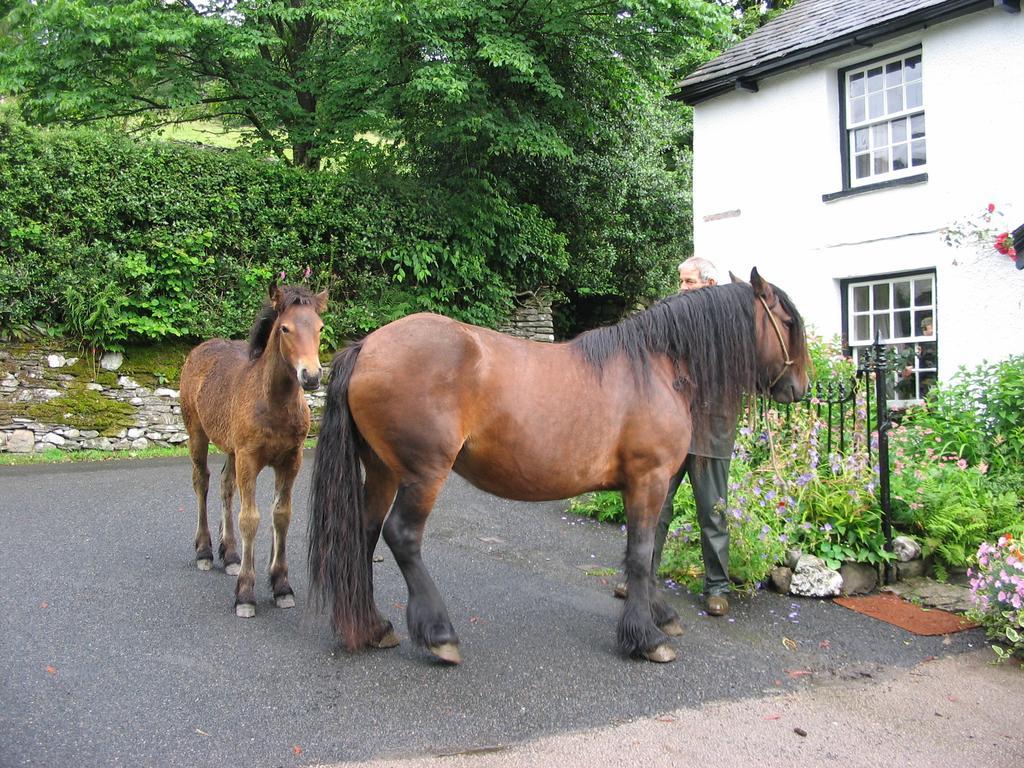 High Fold Guest House Troutbeck  Eksteriør billede