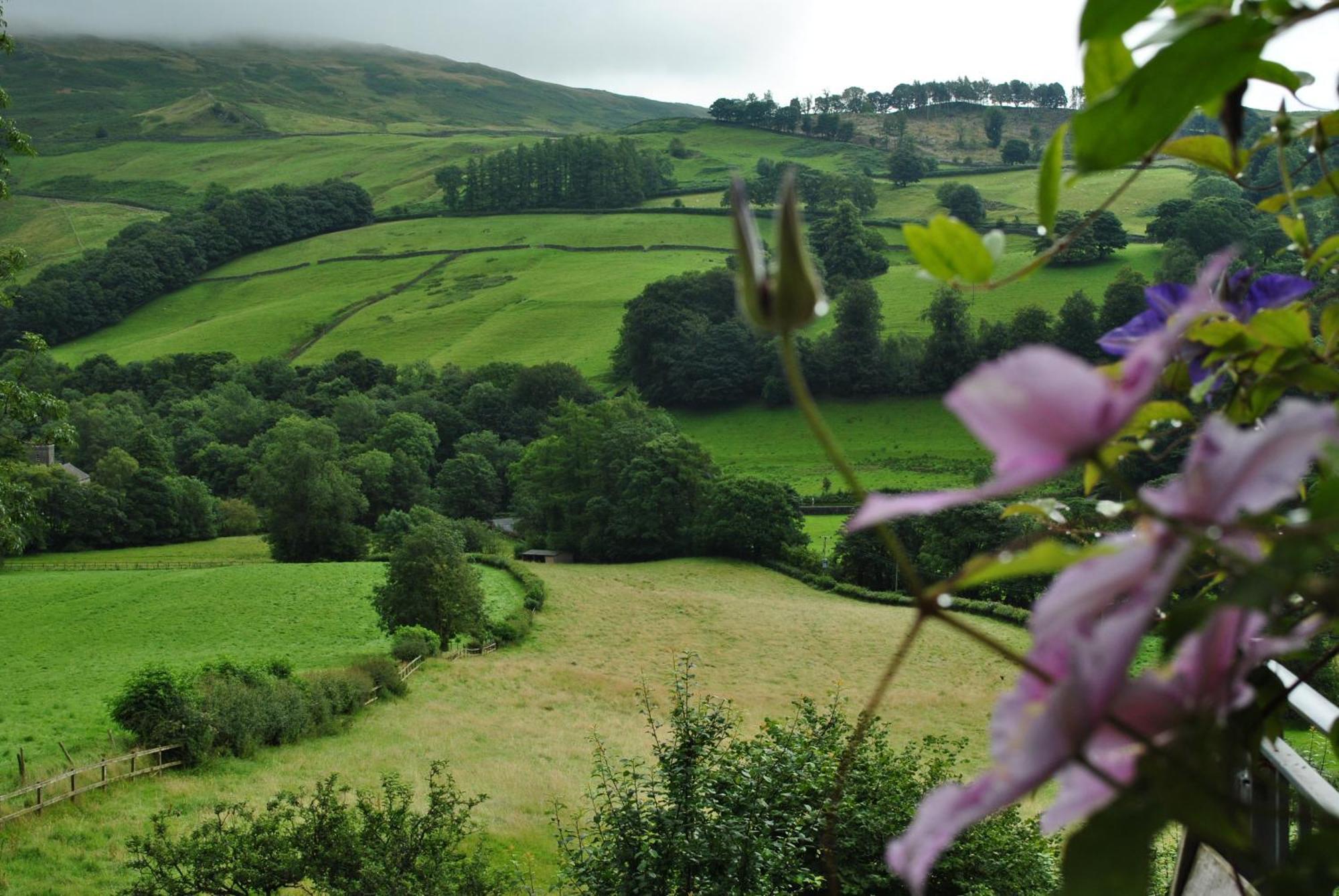 High Fold Guest House Troutbeck  Eksteriør billede