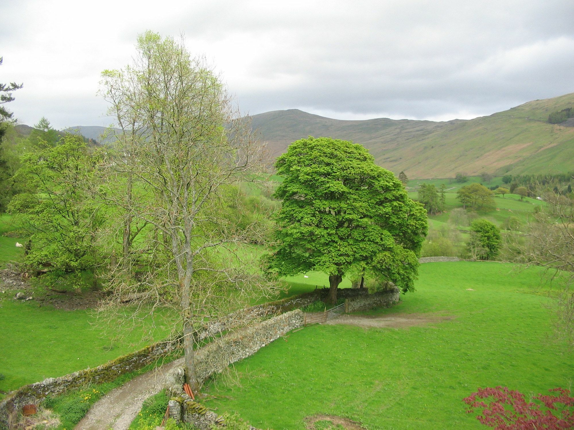 High Fold Guest House Troutbeck  Eksteriør billede